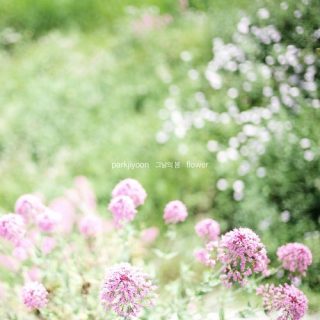 Park Ji Yoon - 그날의 봄 (Flower)