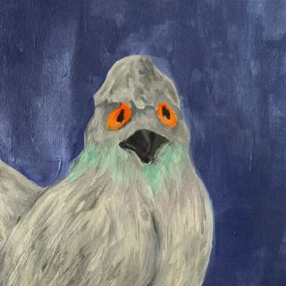 Dasutt - 비둘기 (Pigeon)