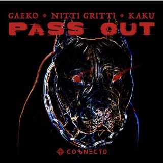 Gaeko, Nitti Gritti, KAKU - PASS OUT