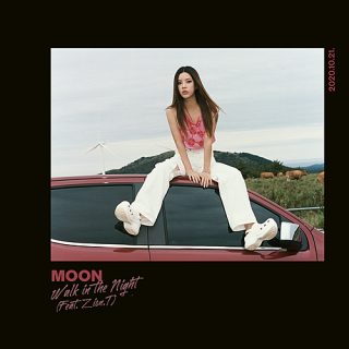 MOON - 밤거리 (Walk In The Night) (Feat. Zion.T)