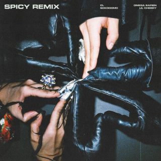 CL - SPICY (Remix)