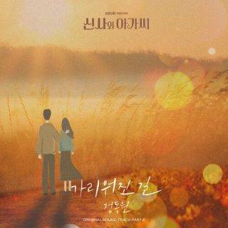 Jeong Dong Won - Young Lady and Gentleman OST Part.4