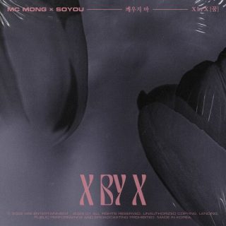 MC Mong, SOYOU - X by X [ Dream ]
