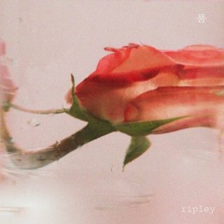 RIPLEY - 품 (In Your Arms)