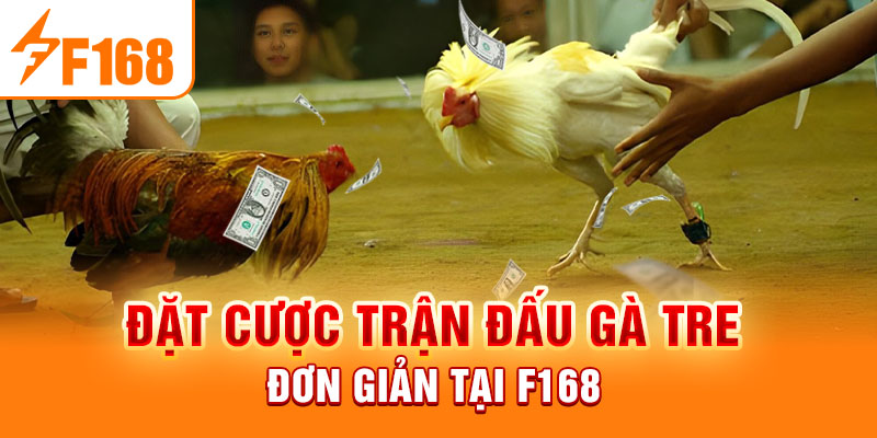 Đá Gà Tre F168 - Thiên Đường Cá Cược Hấp Dẫn, Kịch Tính Đặt cược trận đấu gà tre đơn giản tại F168